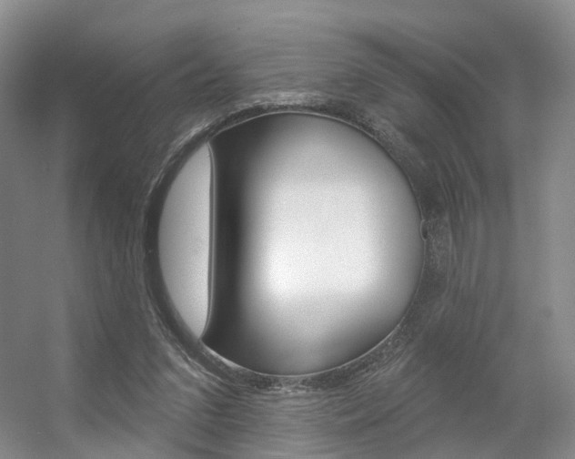 X0000056310207200508260833
