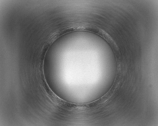 X0000056310209200508260833