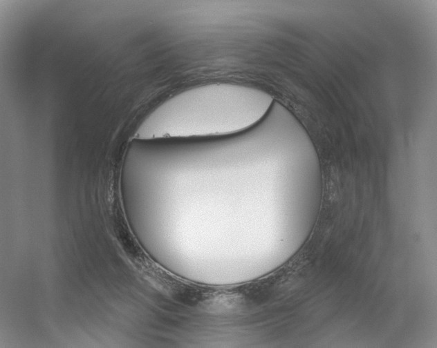 X0000056310210200508260833