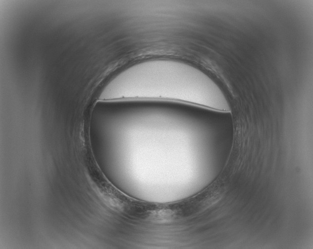 X0000056310212200508260833