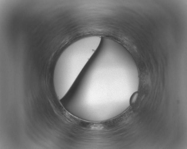 X0000056310214200508260833