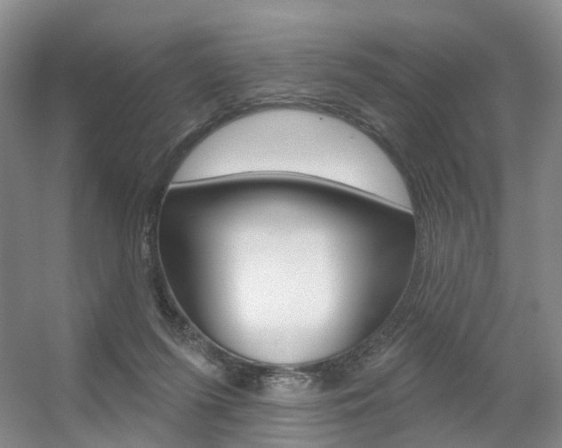X0000056310215200508260833