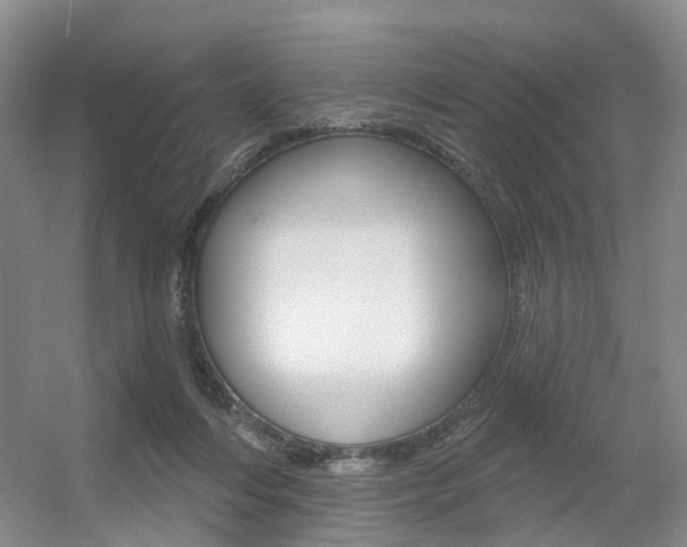 X0000056310216200508260833