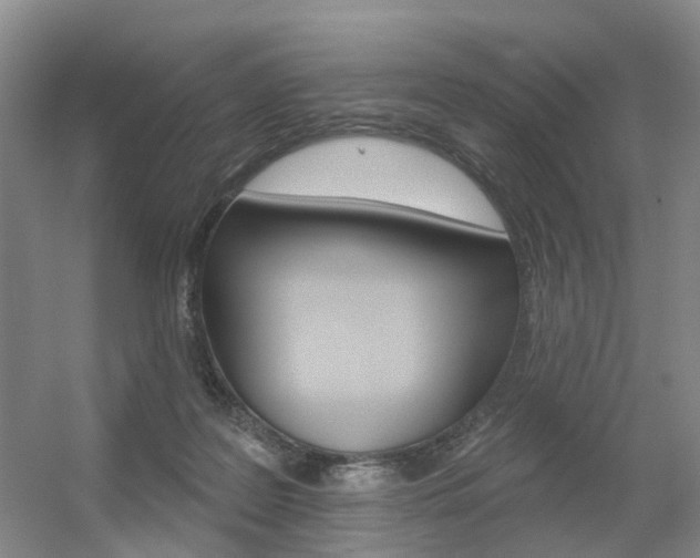 X0000056310219200508260833
