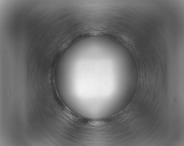 X0000056310221200508260833