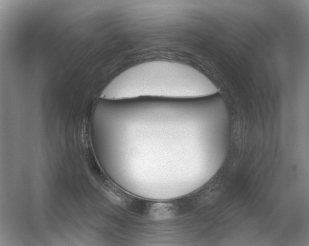 X0000056310222200508260833