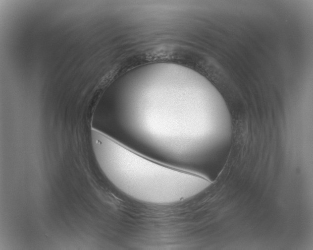 X0000056310224200508260833