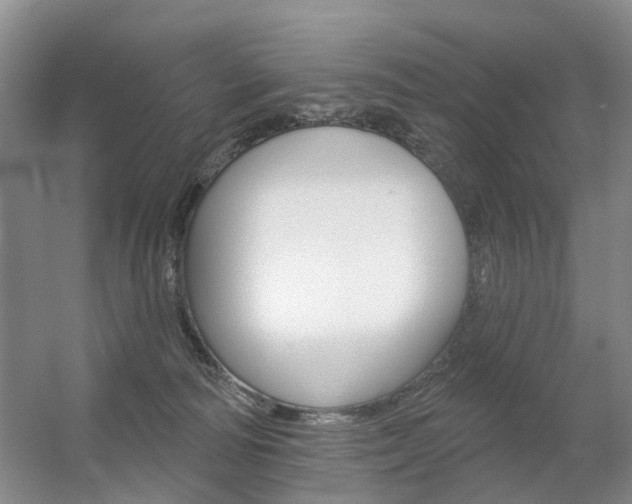 X0000056310226200508260833