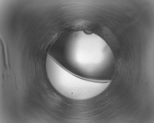 X0000056310232200508260833