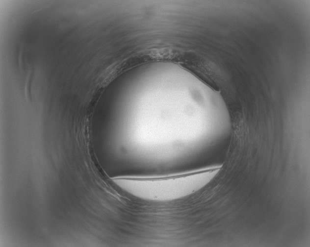 X0000056310233200508260833