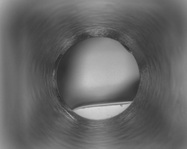 X0000056310239200508260833