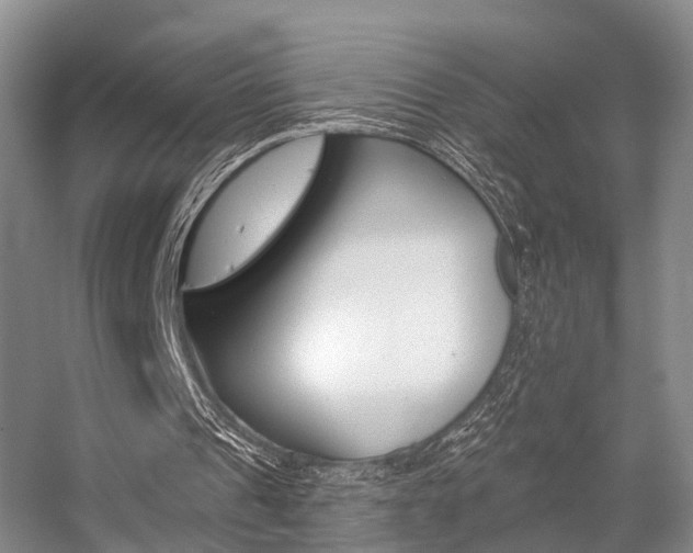 X0000056310241200508260832