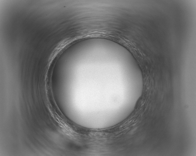 X0000056310242200508260832