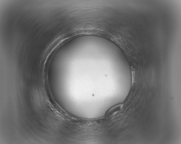 X0000056310243200508260832