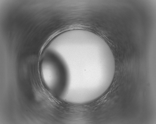 X0000056310244200508260832