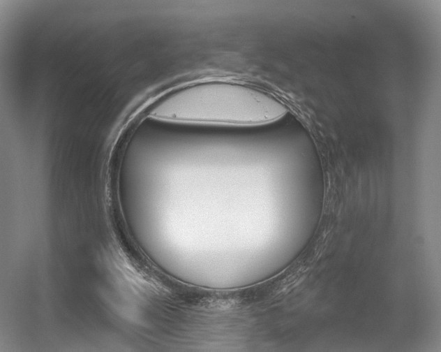 X0000056310247200508260832