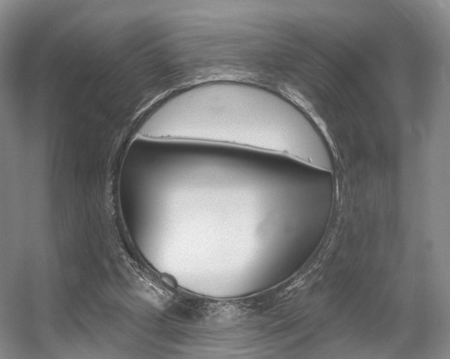 X0000056310249200508260832
