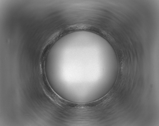 X0000056310254200508260832