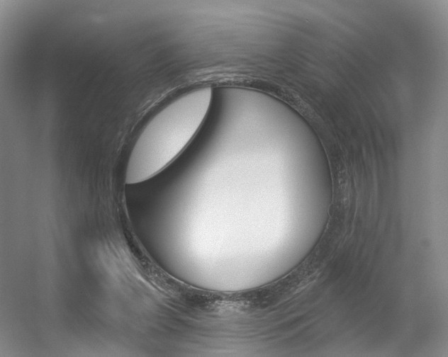 X0000056310255200508260832
