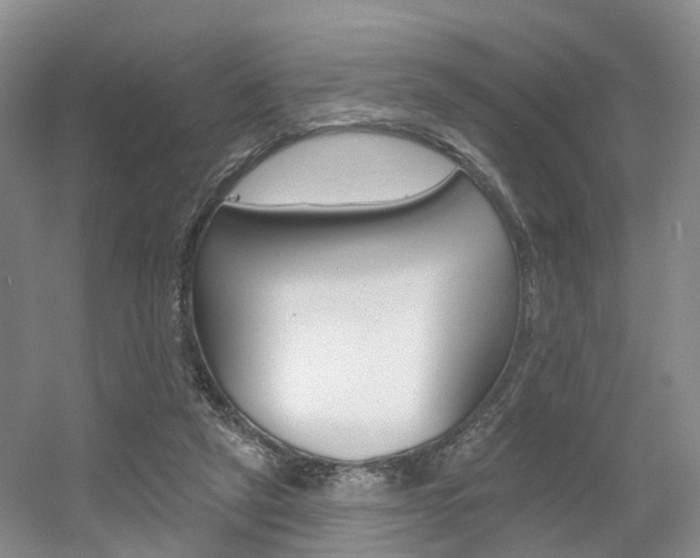 X0000056310257200508260832