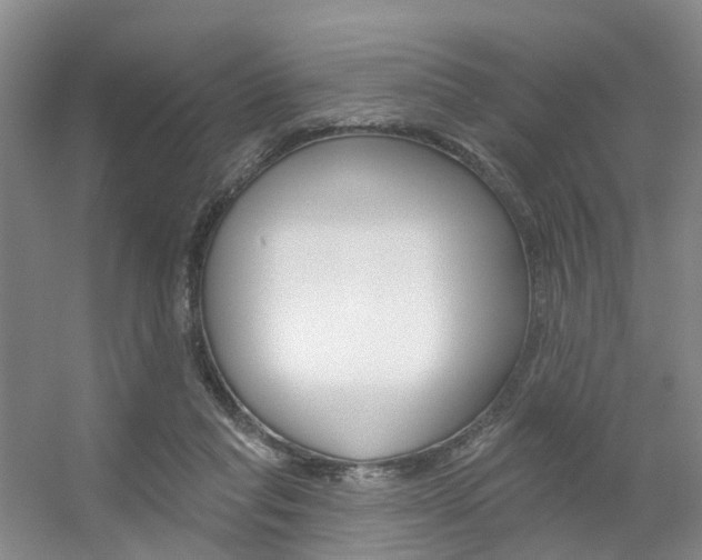X0000056310261200508260832