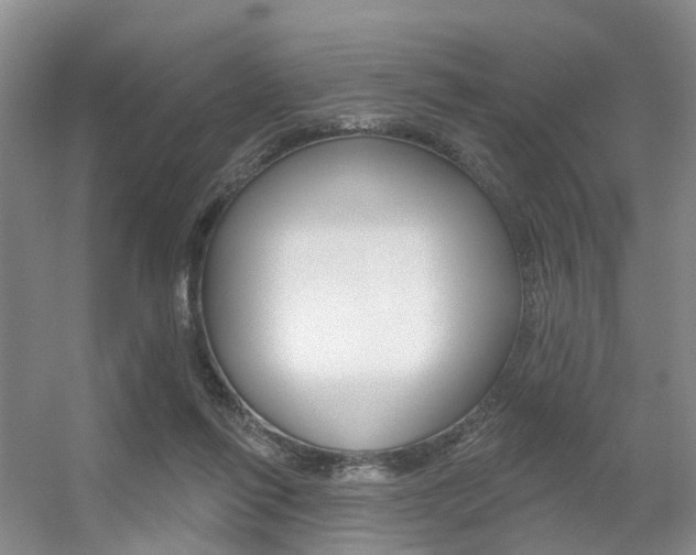 X0000056310262200508260832