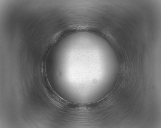 X0000056310264200508260832