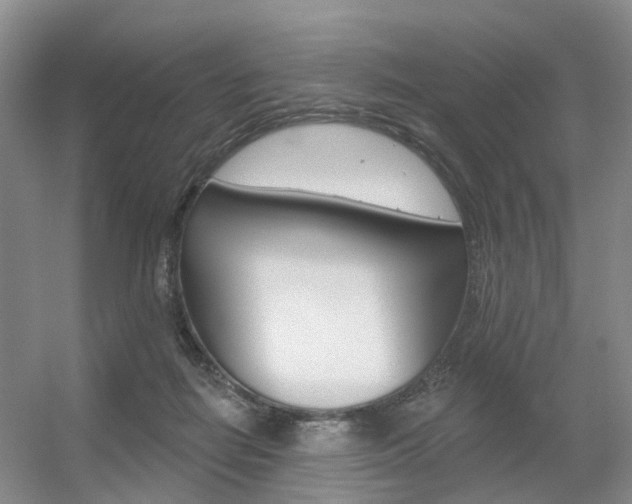 X0000056310266200508260832