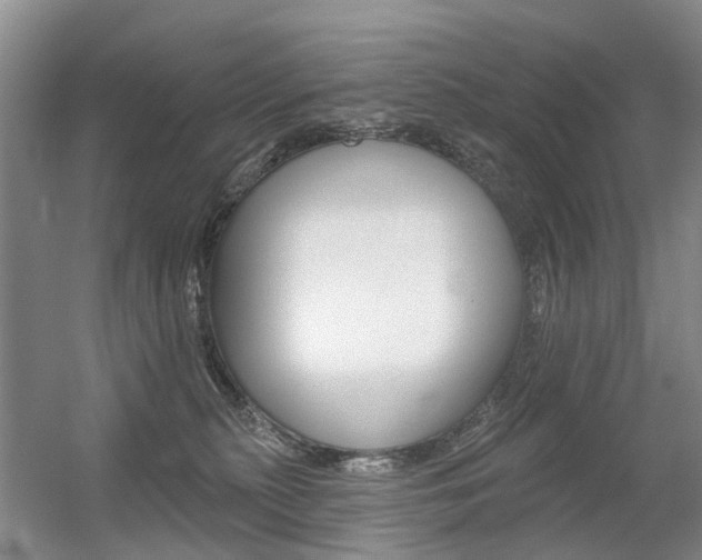 X0000056310279200508260833