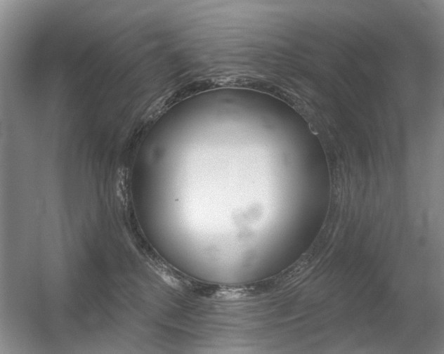 X0000056310280200508260833