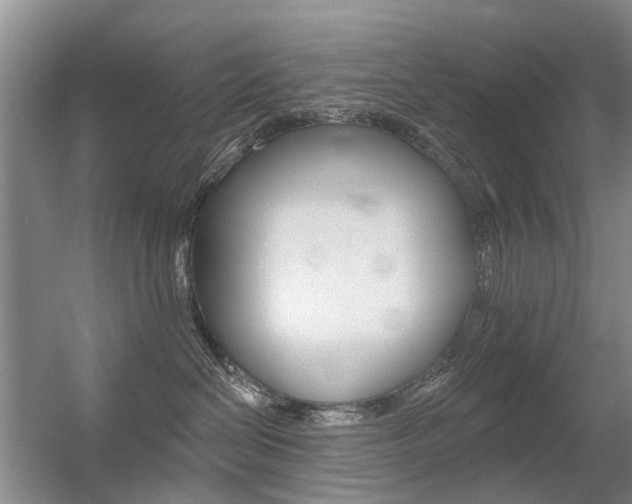X0000056310286200508260833