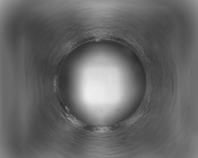 X0000056310288200508260833