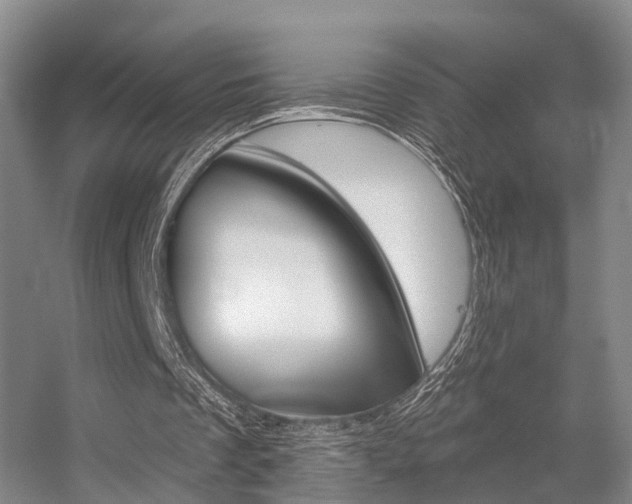 X0000056310289200508260832