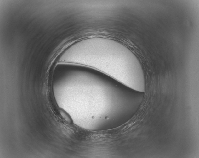 X0000056310291200508260832