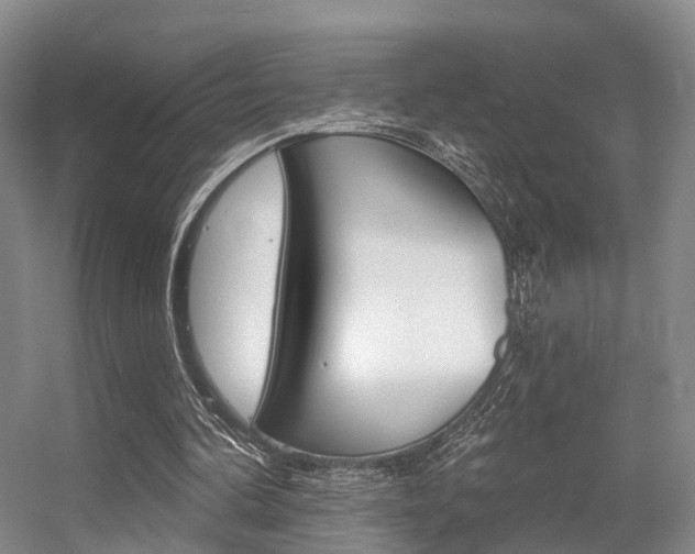 X0000056310292200508260832