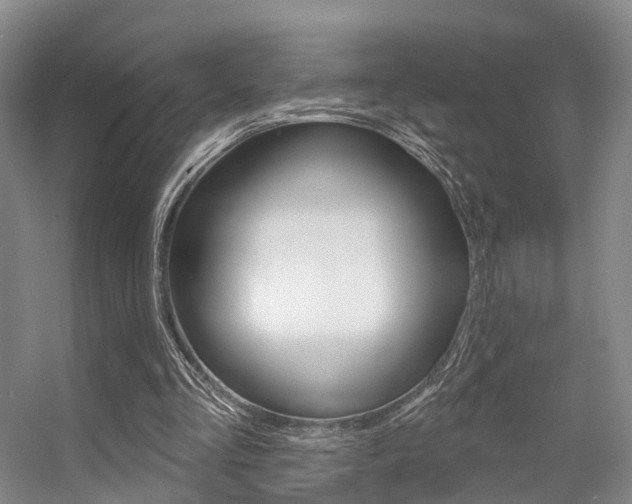 X0000056310293200508260832