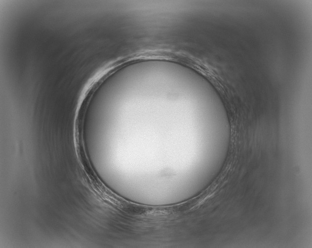 X0000056310294200508260832