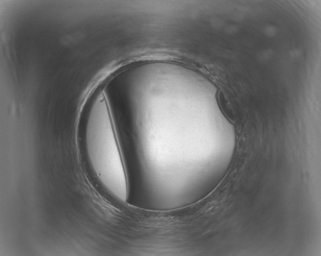 X0000056310296200508260832