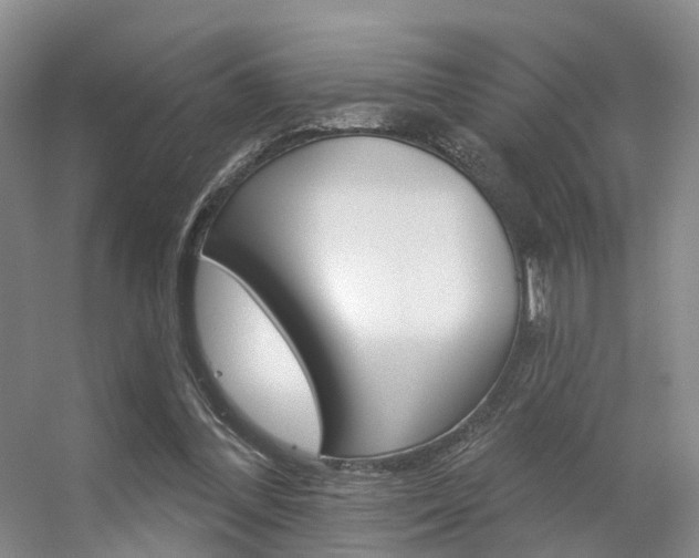 X0000056310300200508260832