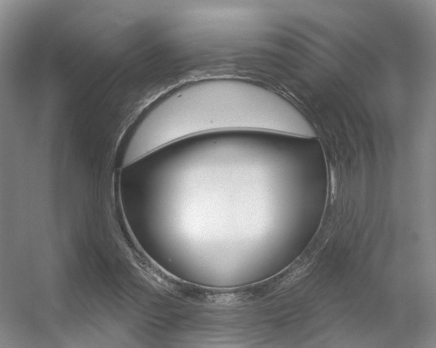 X0000056310301200508260832