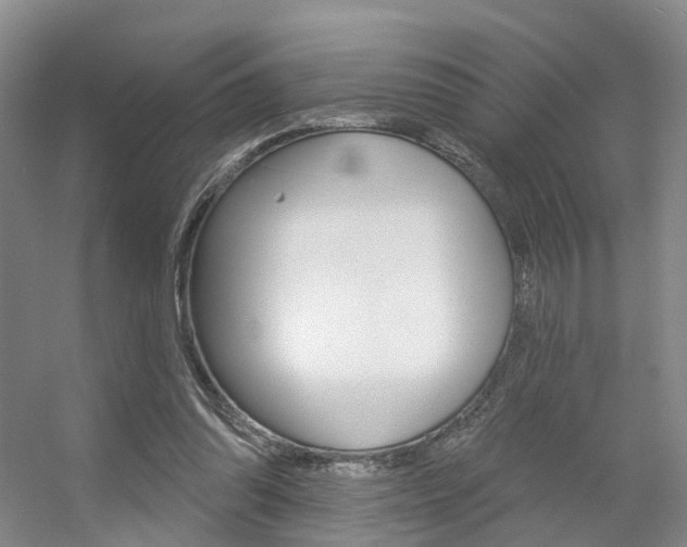X0000056310302200508260832