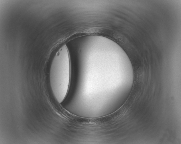 X0000056310303200508260832