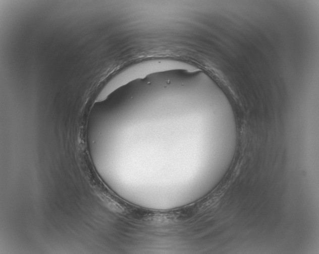 X0000056310305200508260832