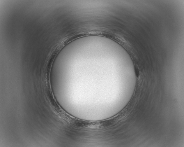 X0000056310306200508260832