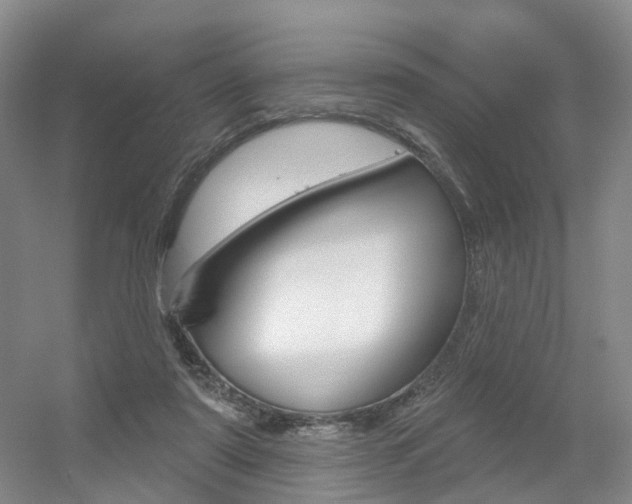 X0000056310307200508260832