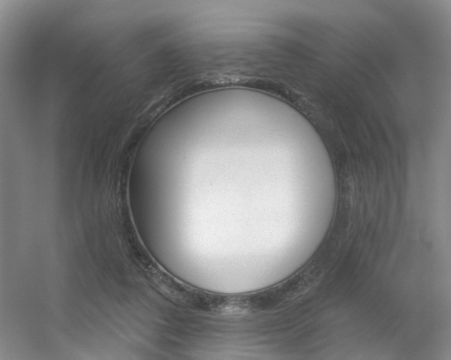 X0000056310308200508260832