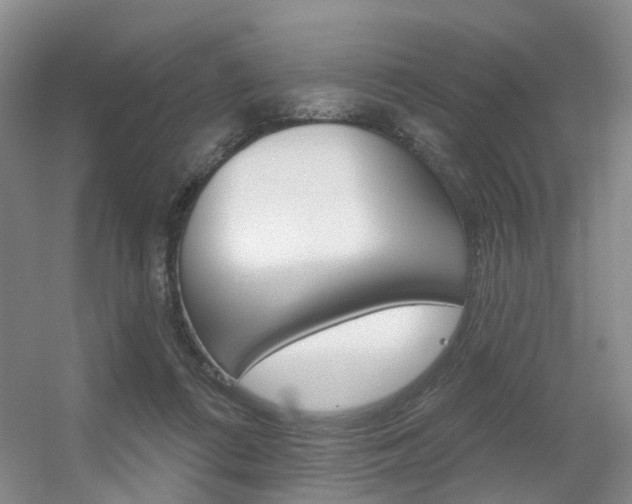 X0000056310312200508260832