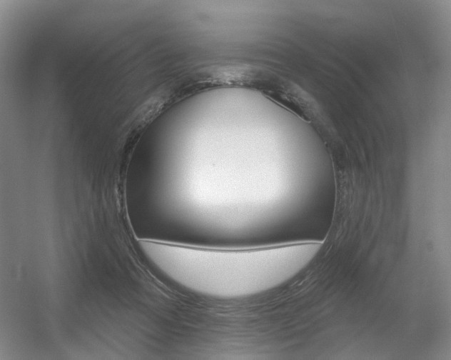 X0000056310313200508260832