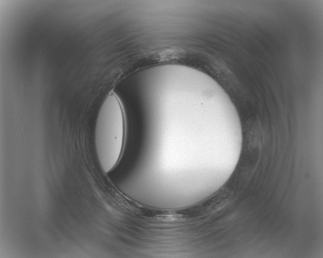 X0000056310316200508260831
