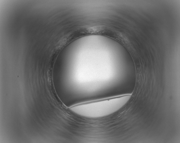 X0000056310317200508260831